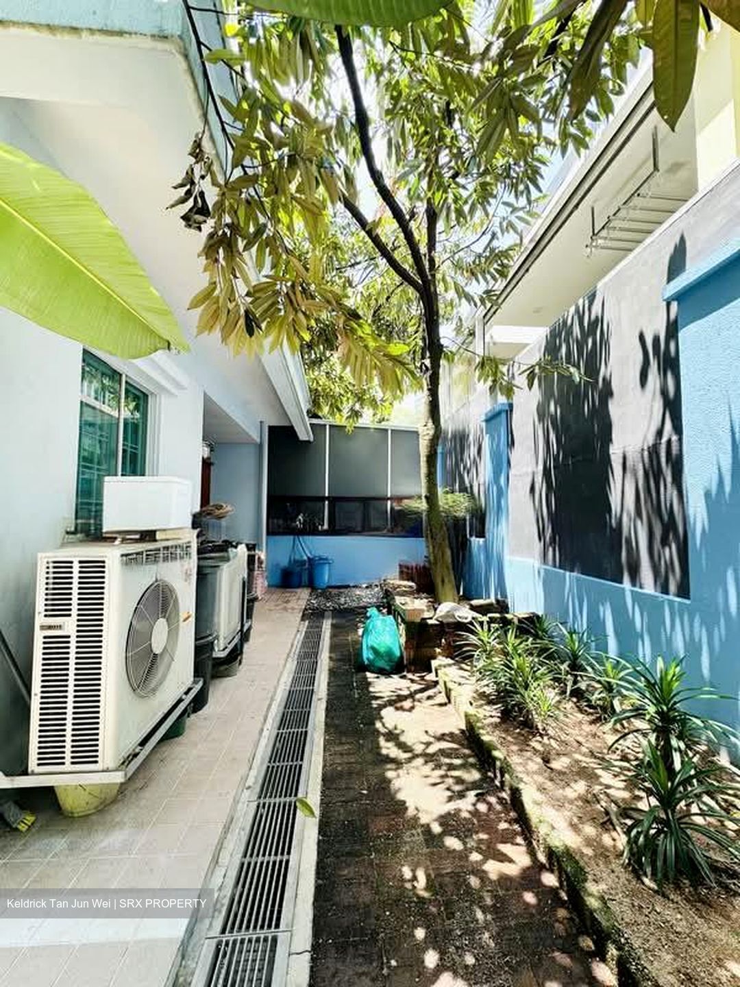 Pinewood Terrace (D25), Terrace #589875601